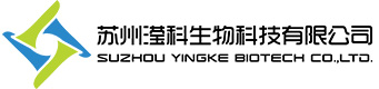 祝賀渭南金地圣科技有限責(zé)任公司網(wǎng)站上線！